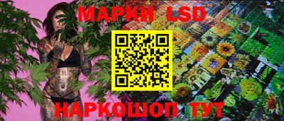 ешки Бийск