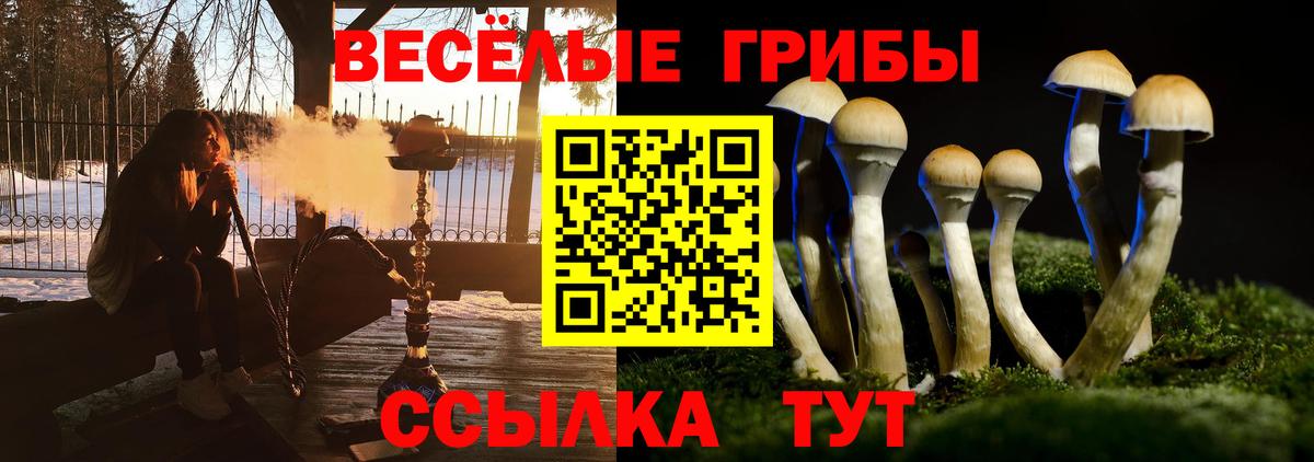Псилоцибиновые грибы Magic Shrooms Зима